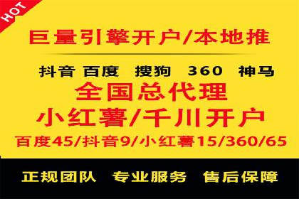 某知名企业SEM营销全案解析